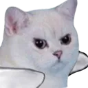 D2S_Z_MadCatHug Discord Emoji