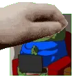 LeFrogPat
