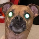 alert Discord emoji
