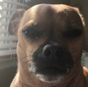 brap Discord emoji