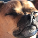 hnngh Discord emoji