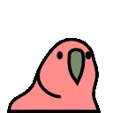 fid_parrot