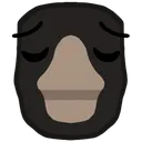 StruthiPensive
