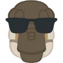 DaspSunglasses DaspSunglasses