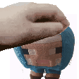 pet_sheep