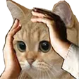 Ohno