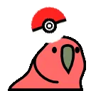 PokemonParrot