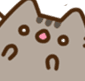 AMpusheenshock Discord emoji