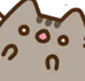 AMpusheenshock