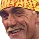 hogan