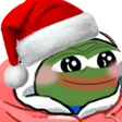UY_pepe_under_blanket