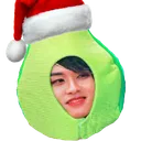 avocadhohoho avocadhohoho