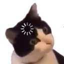 scConfusedCat Discord Emoji