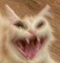 cursed_laughter