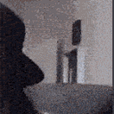 ECHO_penGuinzpog2 Discord Emoji