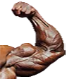 ronnie1