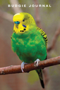 BudgieJournal Discord emoji