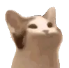 catsmile