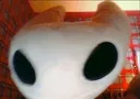 bug