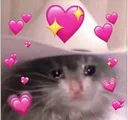 lope_lope_meowdy