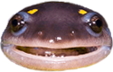 happysalamander Discord emoji