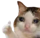 sadcat Discord Emoji
