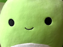 henrytheturtle Discord emoji