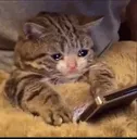 emoji_112