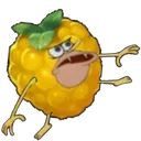 BerryGar