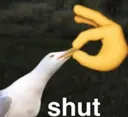 Shut