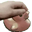 PetDuck