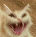 cat_wat_ahaha Discord emoji