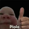 piola