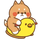 chickride