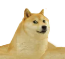 w_dogestrong