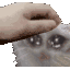 KK_pat