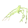KK_stickbug