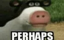 perhaps