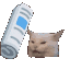 KK_bonkcat