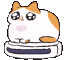 KK_catvaccuum