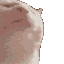 KK_catvibe