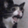 aa_catwahhh Discord Emoji