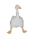 DefaultGoose