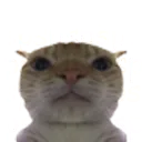 psp