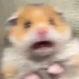 PA