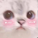 gCattoBlush Discord Emoji