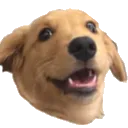 Piespog Discord Emoji