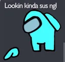 sus sus