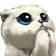 kmSadCatt