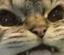 angry angry